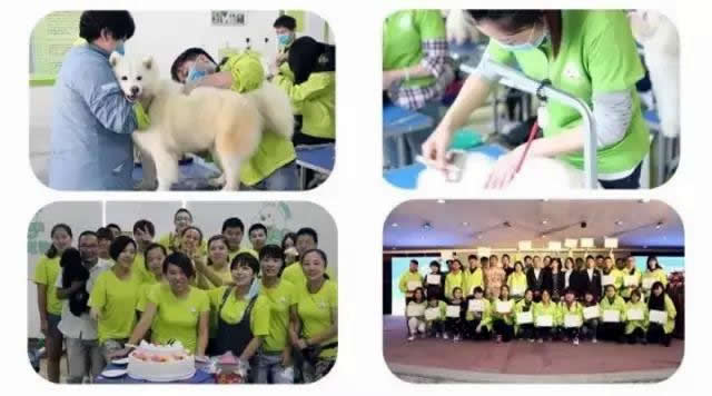 ʥ賣ݷУ2[523]ݰ࿪ѧ