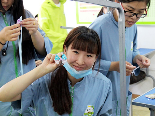 圣宠培训手工创意制作