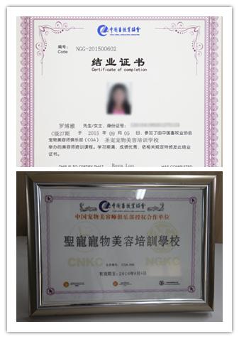 选择圣宠,究竟可以收获什么?