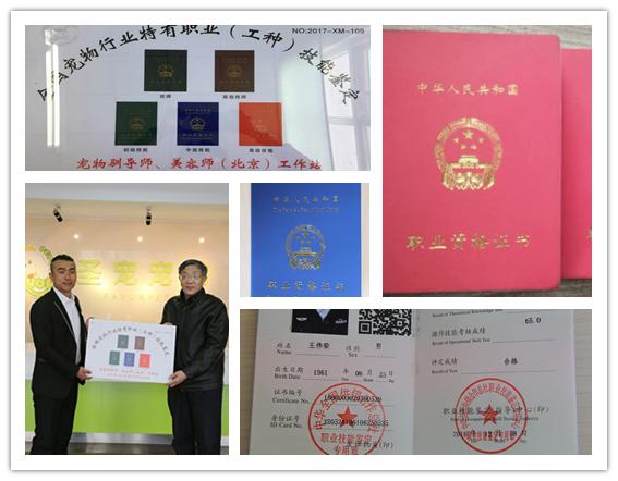 选择圣宠,究竟可以收获什么?