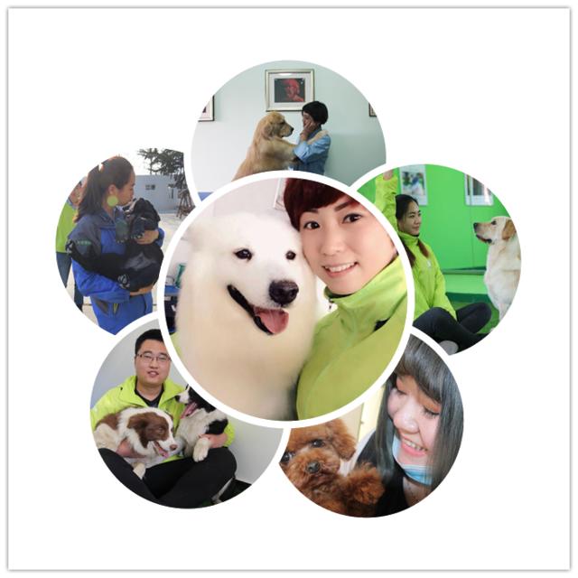 选择圣宠,究竟可以收获什么?