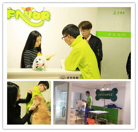 选择圣宠,究竟可以收获什么?