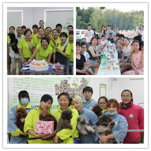 选择圣宠,究竟可以收获什么?