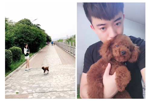 祝贺圣宠新“家”盟商，陕西宝鸡蒲先生成功签约圣宠轻新店！