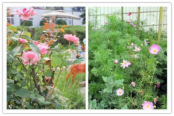 Ϊʲôʥѧϰʥѧϰʲô