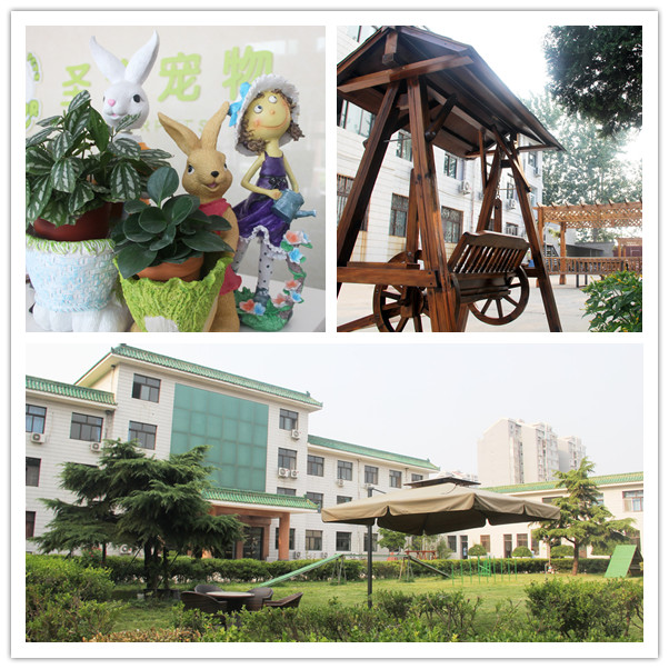 Ϊʲôʥѧϰʥѧϰʲô