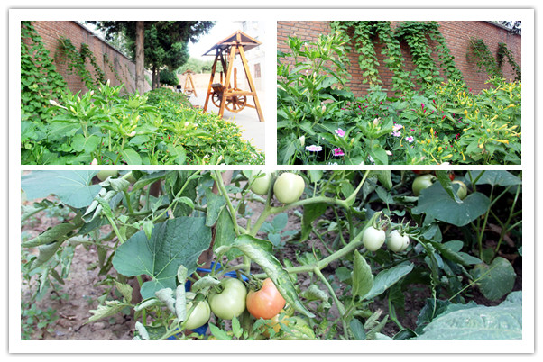 Ϊʲôʥѧϰʥѧϰʲô