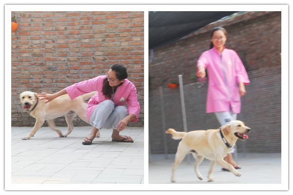 Ϊʲôʥѧϰʥѧϰʲô