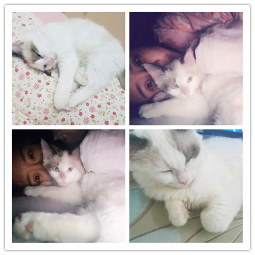 ף��ʥ���¡��ҡ����̣�������Ϫ��Ůʿ�ɹ�ǩԼʥ�����µ꣡