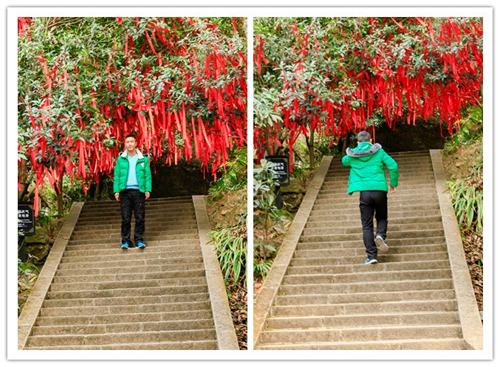 祝贺圣宠新“家”盟商，四川成都刘先生成功签约圣宠轻新店！