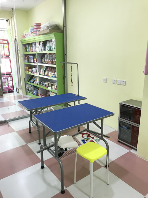 圣宠宠物北京九棵树连锁店