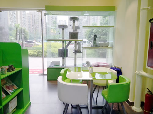 圣宠宠物成都金鹏街连锁店