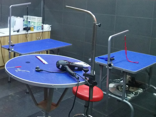 圣宠宠物成都金鹏街连锁店