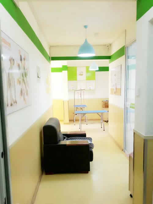 圣宠宠物天津城市名居连锁店