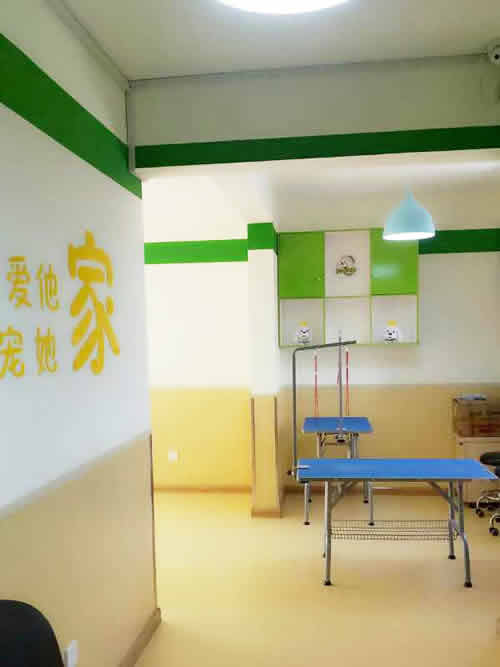 圣宠宠物天津城市名居连锁店