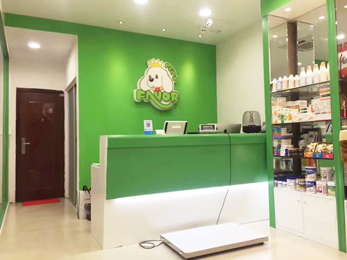 圣宠宠物温州罗阳大道连锁店