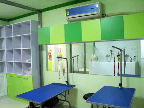 圣宠宠物北京开阳里连锁店