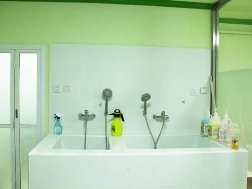 圣宠宠物北京开阳里连锁店