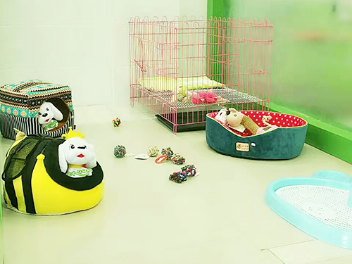 圣宠宠物(驻马店上蔡宠物连锁店)