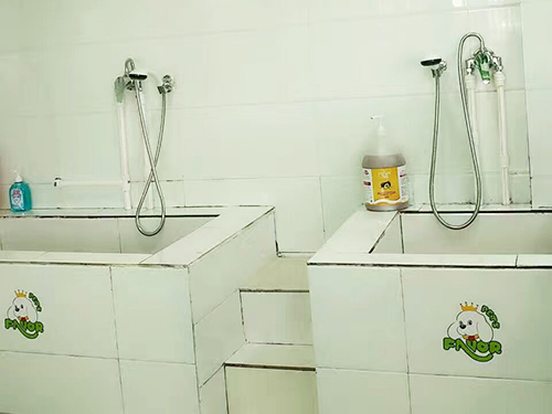 圣宠宠物(驻马店上蔡宠物连锁店)