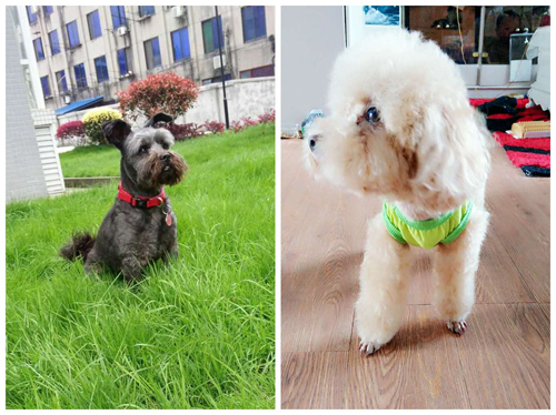 �Ĵ���ü��Ůʿ