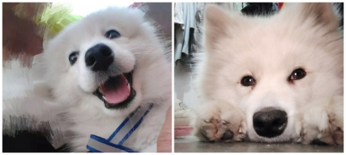 ��������κ����