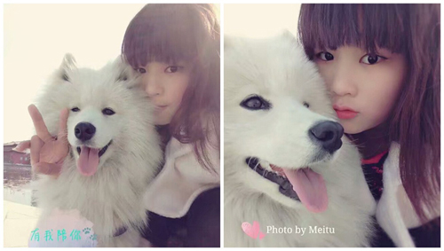 ��������κ����