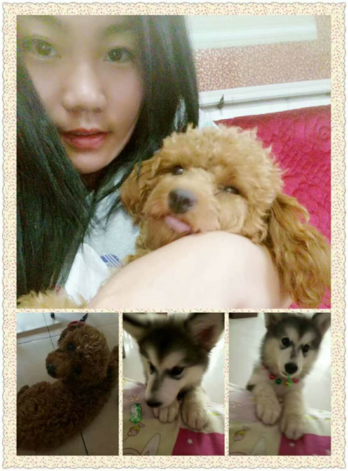 ����פ������Ůʿ