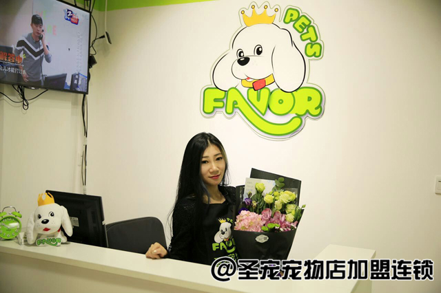 ����������һ����׬����