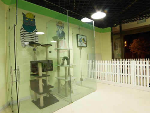 һ�㾭ӪҲû����ô������ꣿ