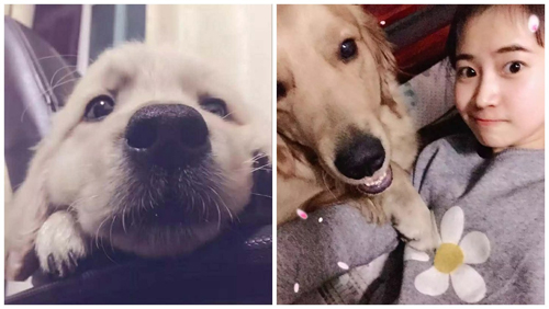 �ӱ�������