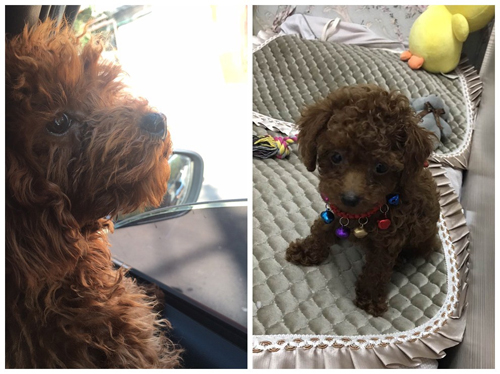 ��������Ůʿ