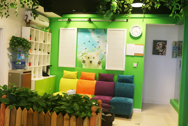 ������˵������