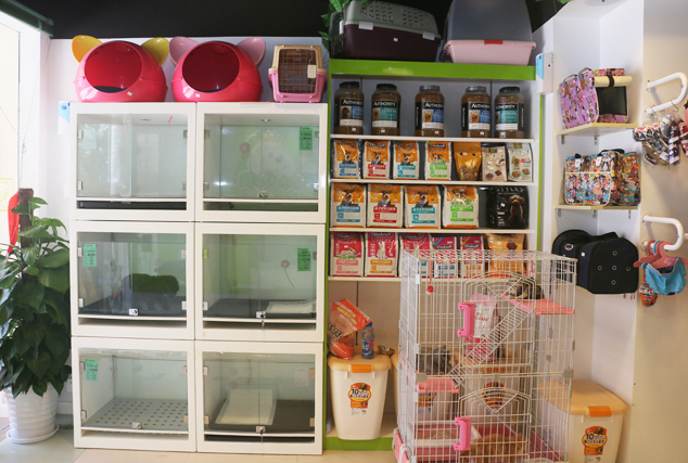 ������˵������