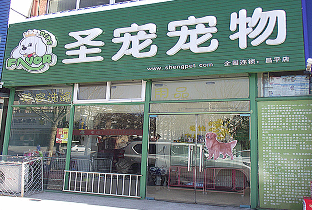 ʥ�����������