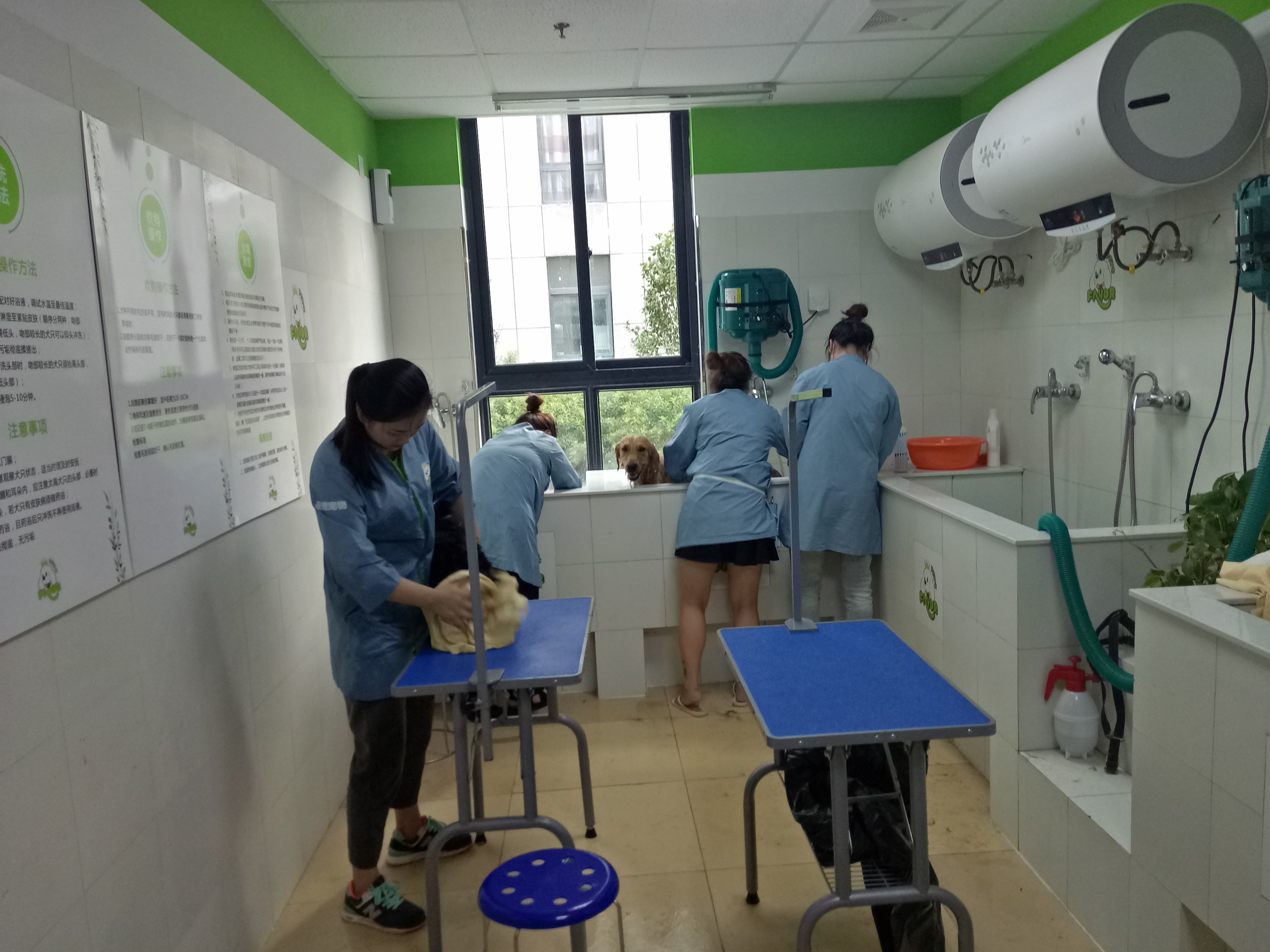 ʥ�����������