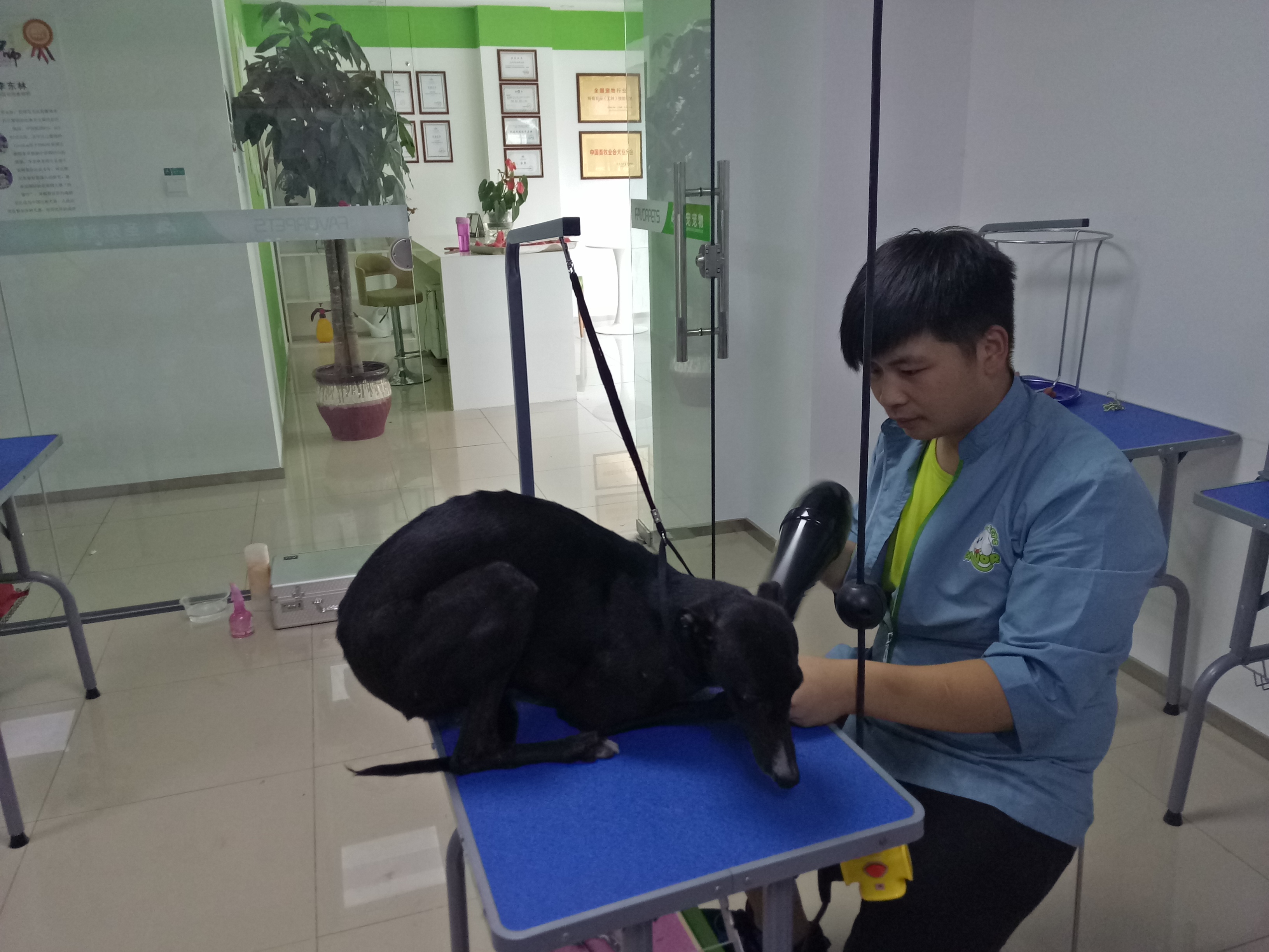 圣宠加盟连锁 (宠物加盟连锁店选圣宠宠物-免费