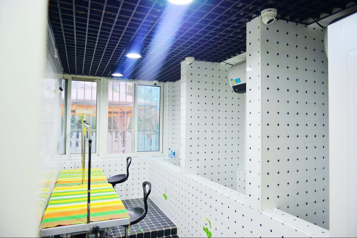 ��һ���������Ҫ����Ǯ(��������ѡʥ��-��Ѽ�����ѵ)