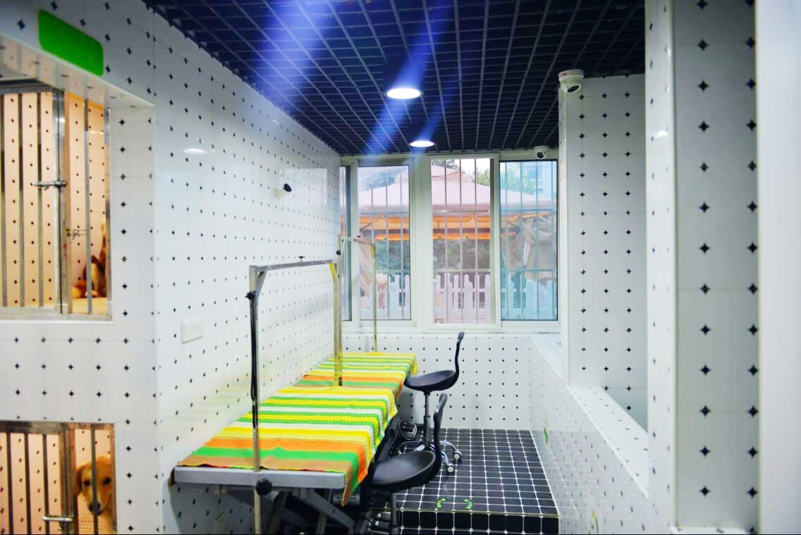 ��һ���������Ҫ����Ǯ(��������ѡʥ��-��Ѽ�����ѵ)