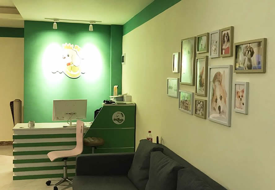 �������˶���Ǯ����������ѡʥ�裭8��������0Ԫ���ˣ�