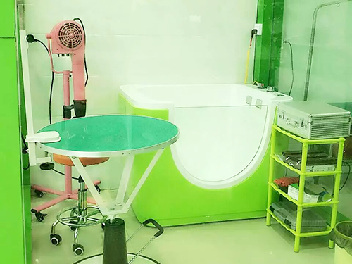 ���������Ҫʲô ���������ѡʥ��-�������ѡַ��