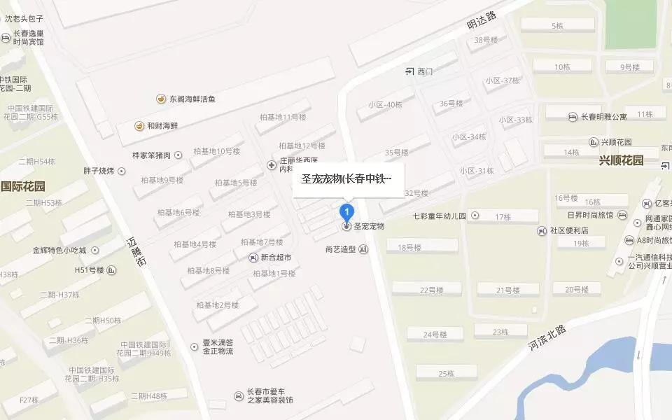 圣宠宠物长春市盛大开业,多重豪礼等你拿
