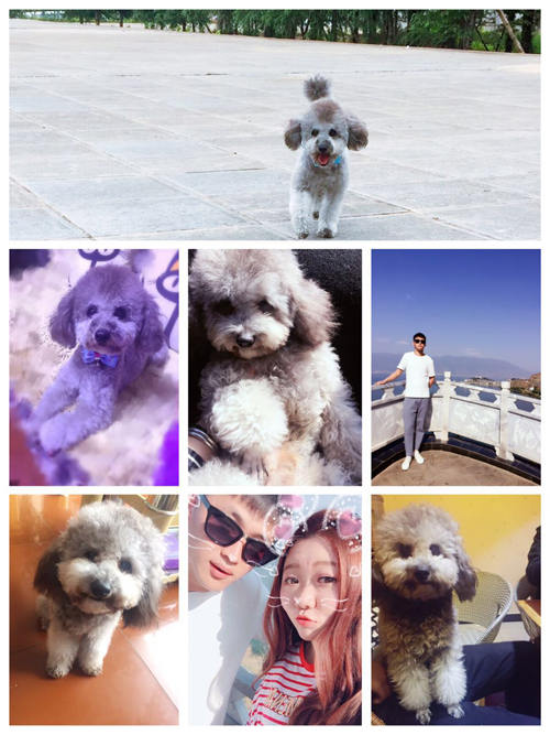 ���ϴ���������