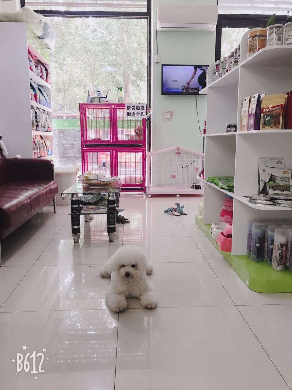 圣宠纳帕阳光店9月值日有返现优惠