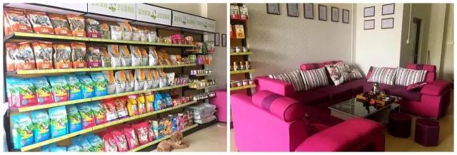 圣宠宠物西樵店开业送优惠|会员充值免费洗澡,更有狗狗免费赠送!