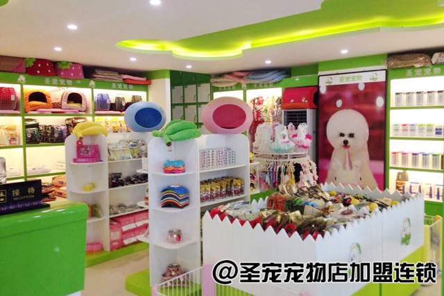 ���������ҪͶ�ʶ���