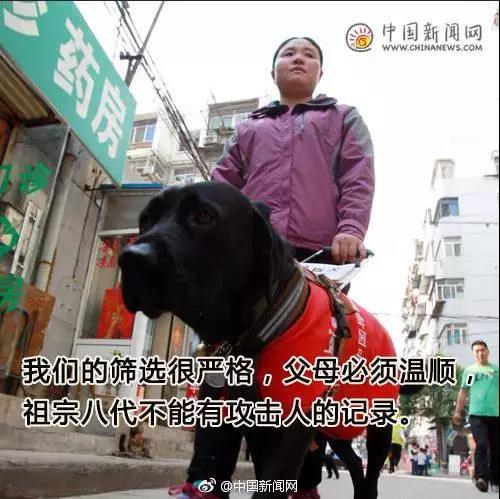 Ը͵äȮͬ𣿰ͬУܾ