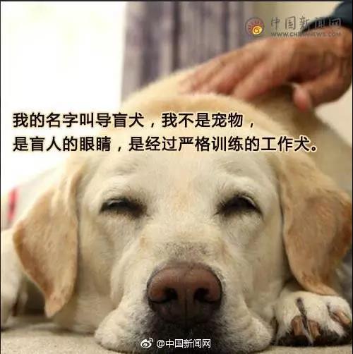 Ը͵äȮͬ𣿰ͬУܾ