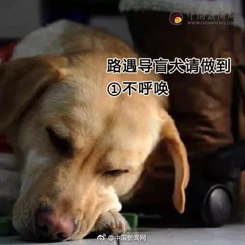 Ը͵äȮͬ𣿰ͬУܾ