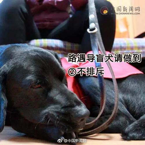 Ը͵äȮͬ𣿰ͬУܾ